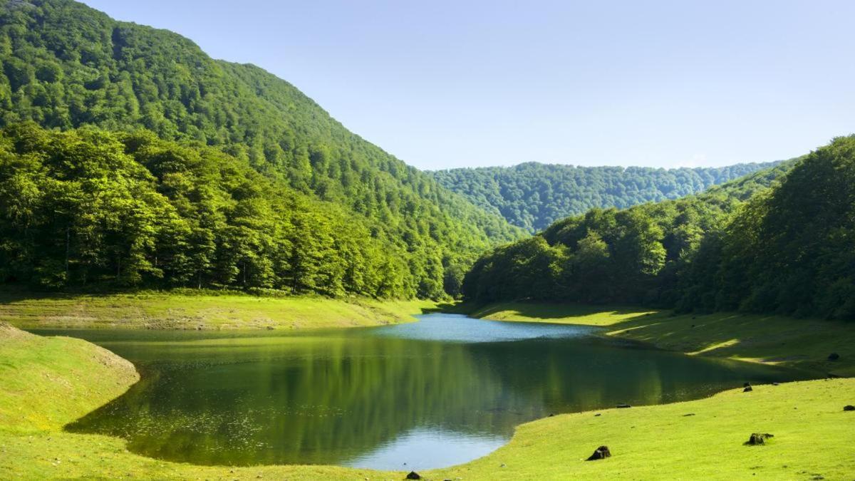 Casa Rural Arotzenia, Hogar Rustico En Pleno Valle De La Ulzama Lizaso Dış mekan fotoğraf