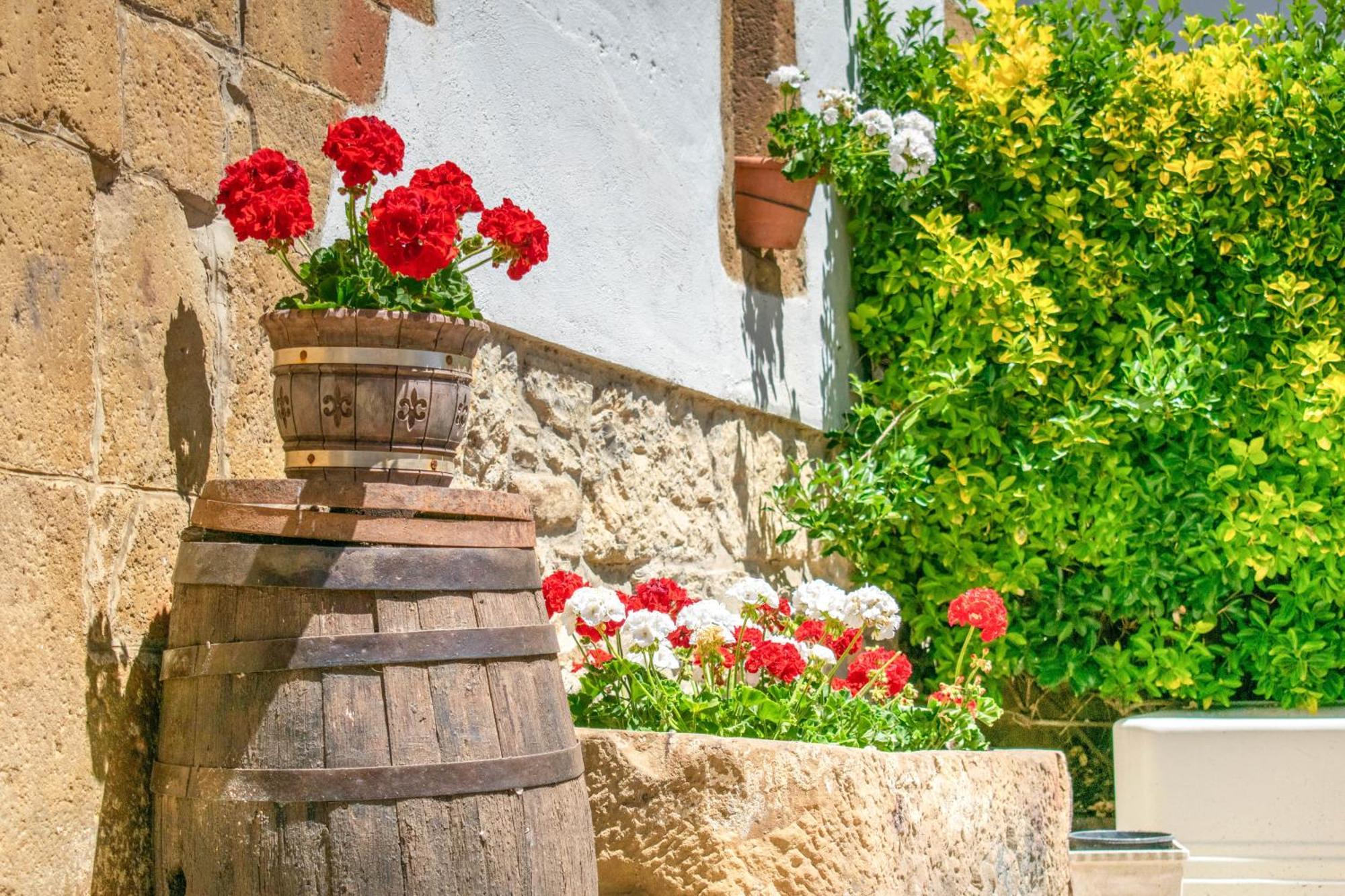 Casa Rural Arotzenia, Hogar Rustico En Pleno Valle De La Ulzama Lizaso Dış mekan fotoğraf